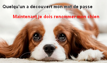 exemple