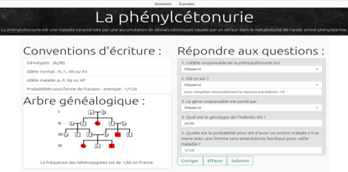 description
